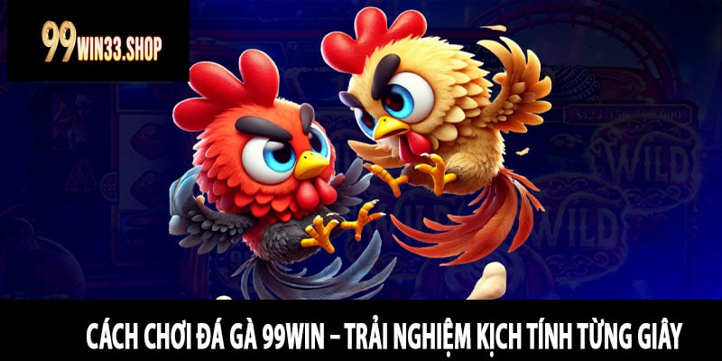 Cách Chơi Đá Gà 99win – Trải Nghiệm Kịch Tính Từng Giây