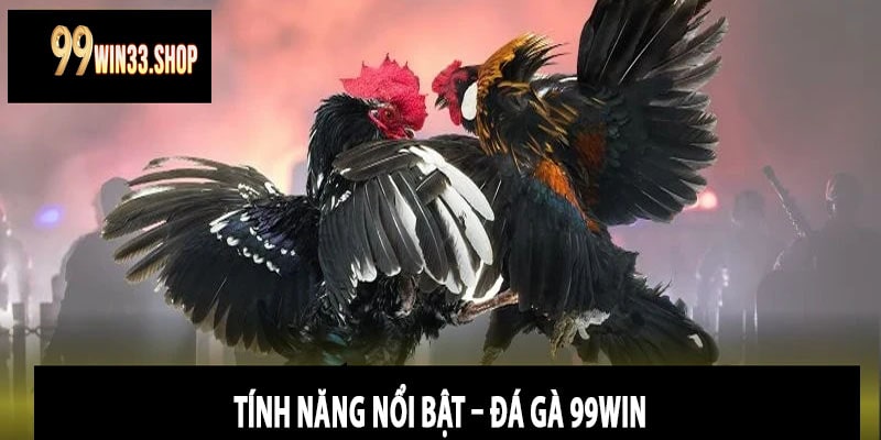 Tính Năng Nổi Bật – Đá Gà 99win