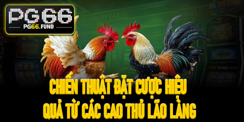 Hệ thống các hình thức thi đấu kê chiến phổ biến tại PG66