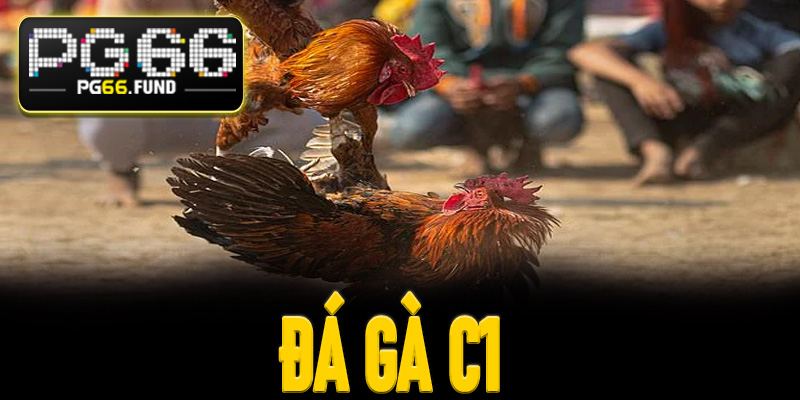 Đá Gà C1 PG66 – Khám Phá Điểm Hấp Dẫn Của Tựa Game